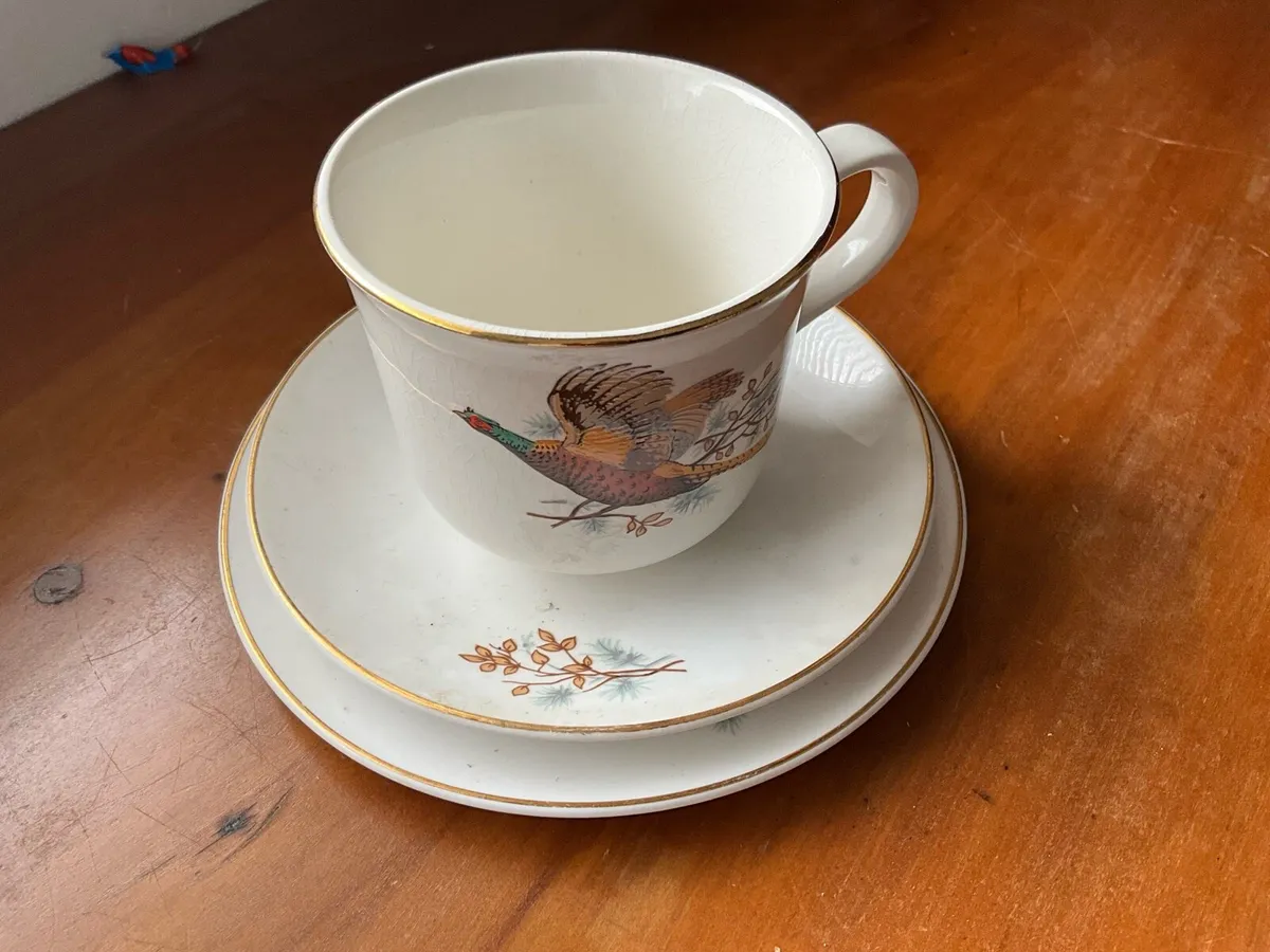Vintage Pheasant Tea Cup, Saucer and Plate - Image 2
