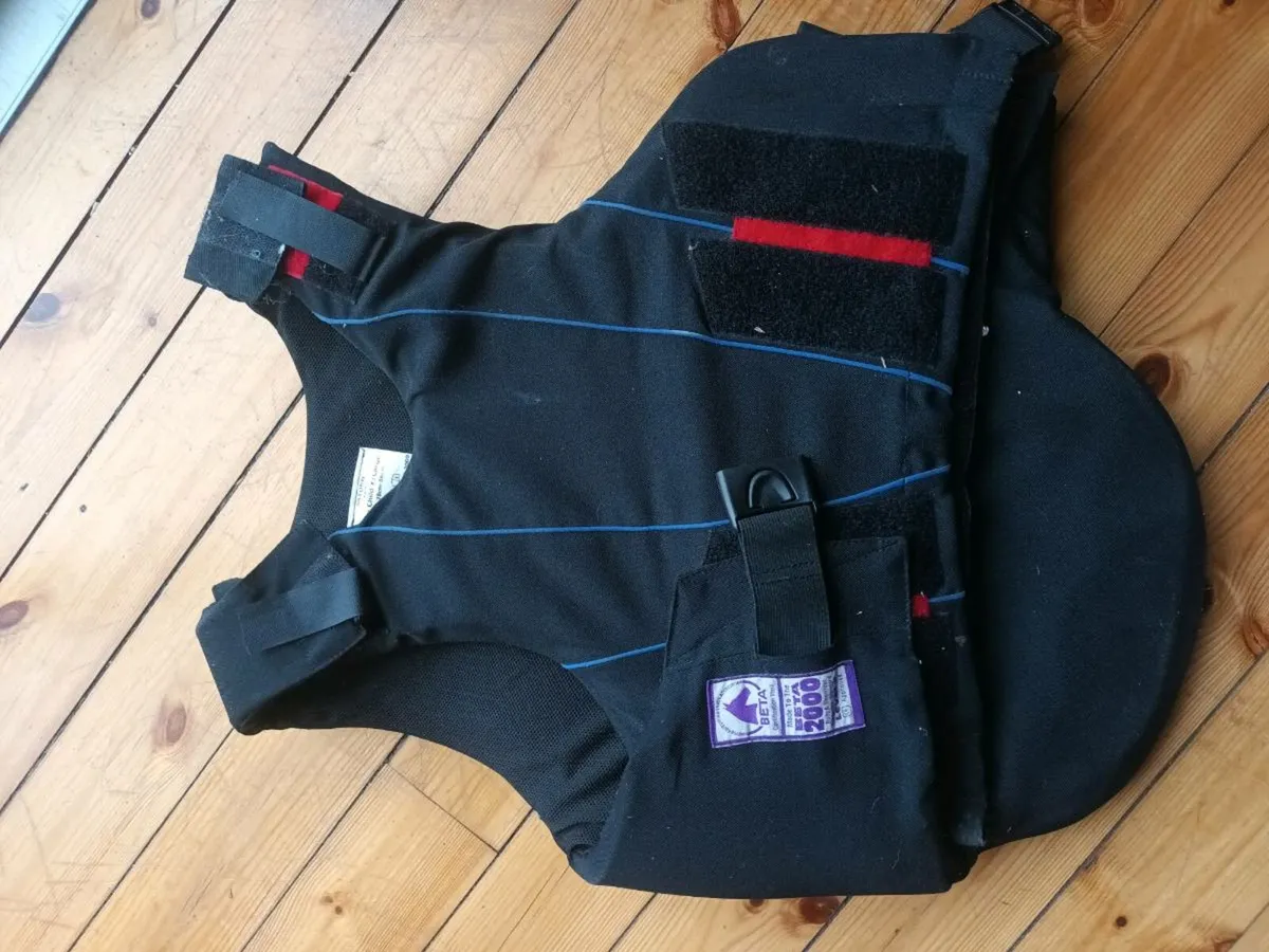 Horse riding helmet and back protector - Image 2