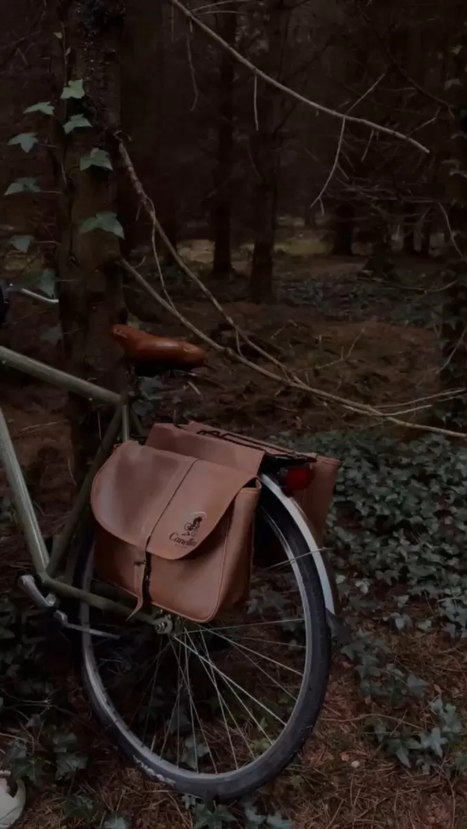 City bicycle Canellini - Image 4