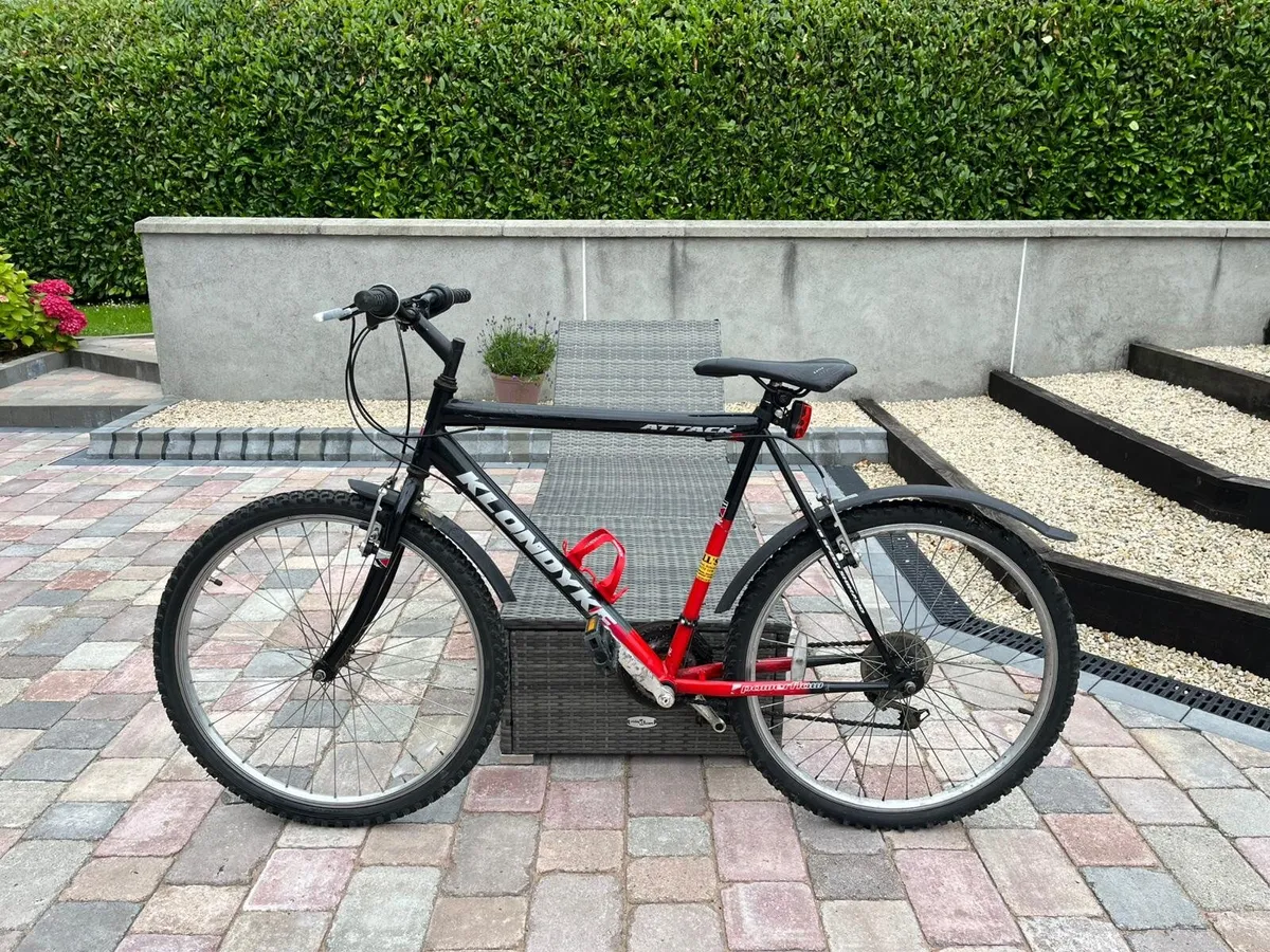 Bike - Image 1