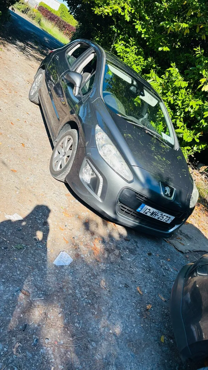 Peugeot 308 - Image 1