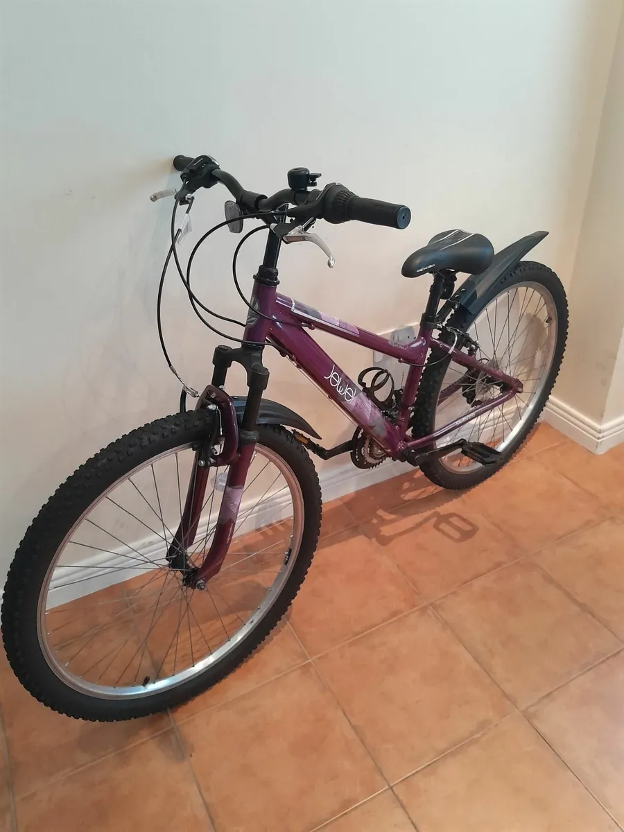 Bicycle - Image 1