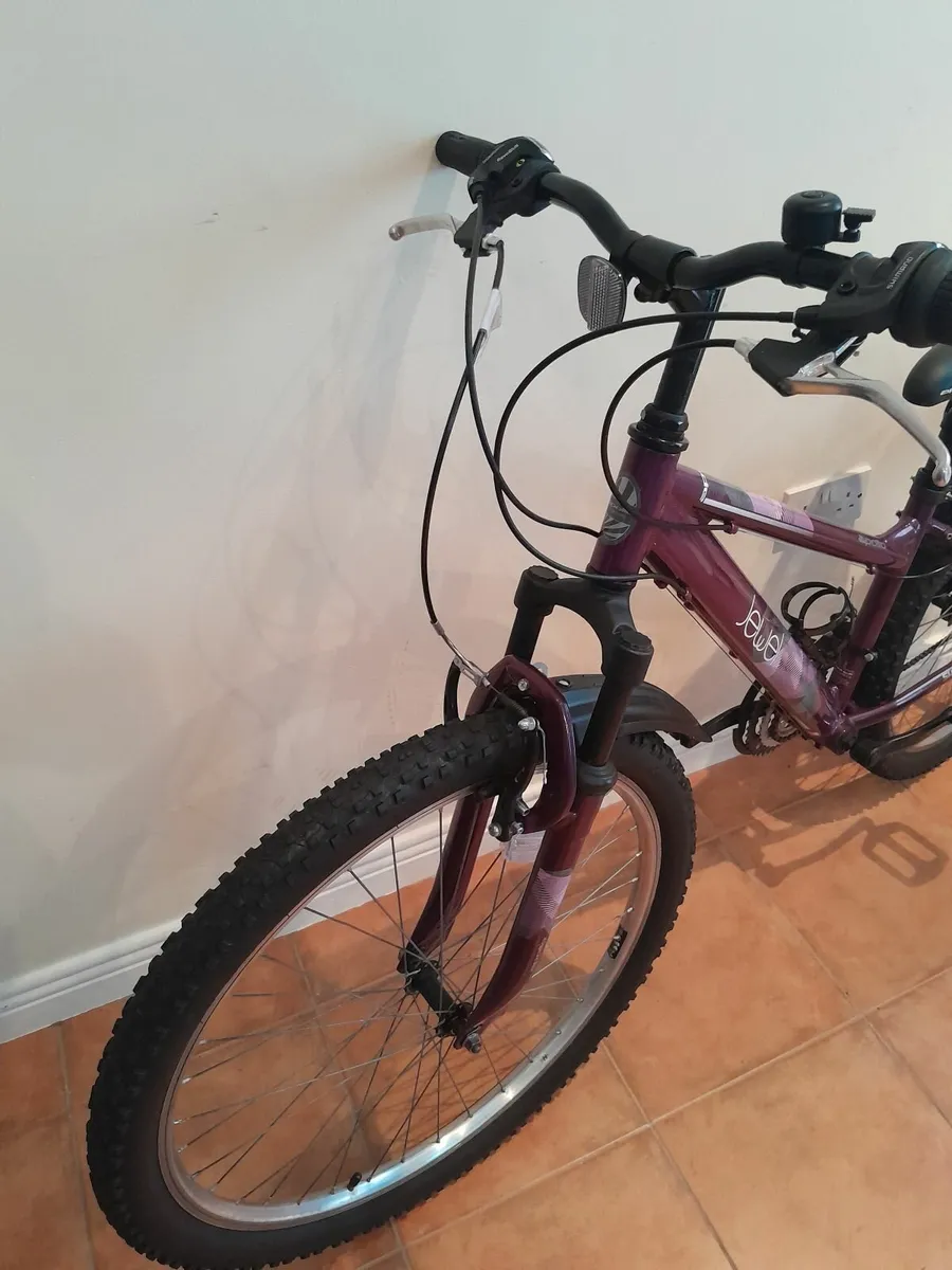 Bicycle - Image 4