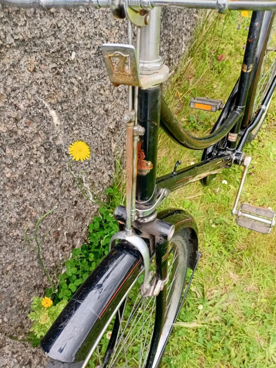 Adults bike - Image 1