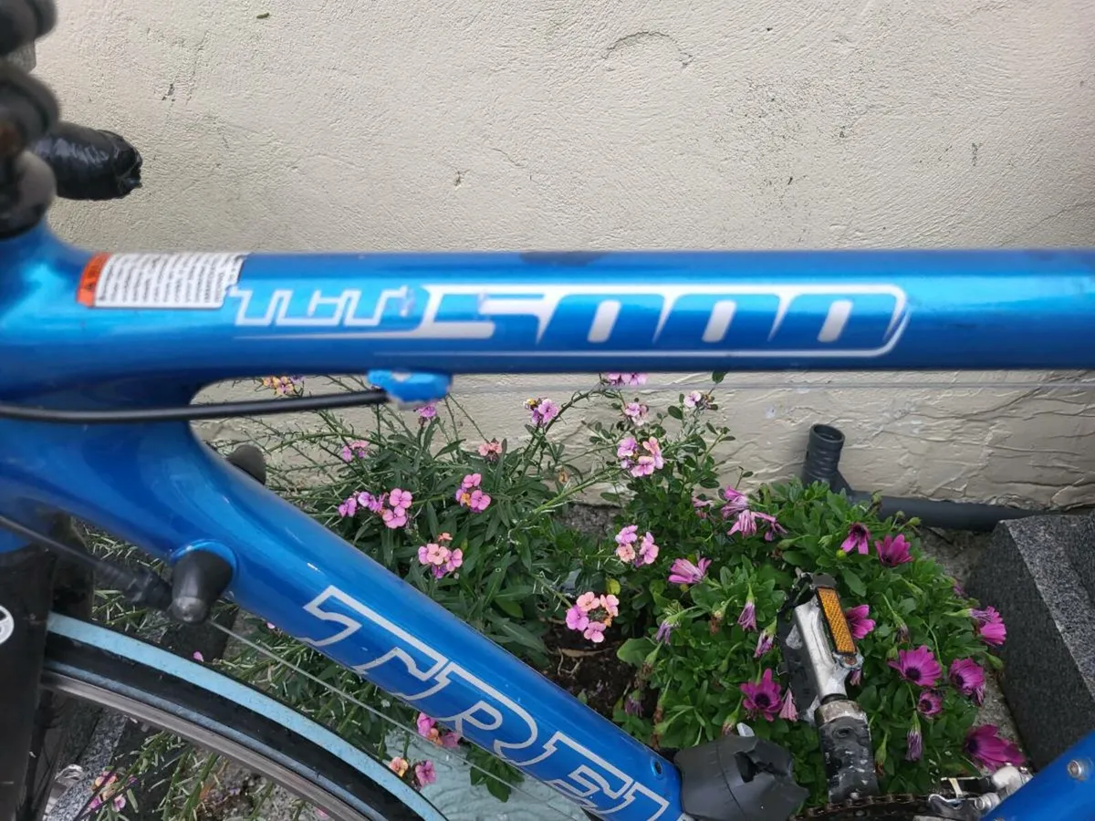 Carbon Fibre Trek Racer - Image 2