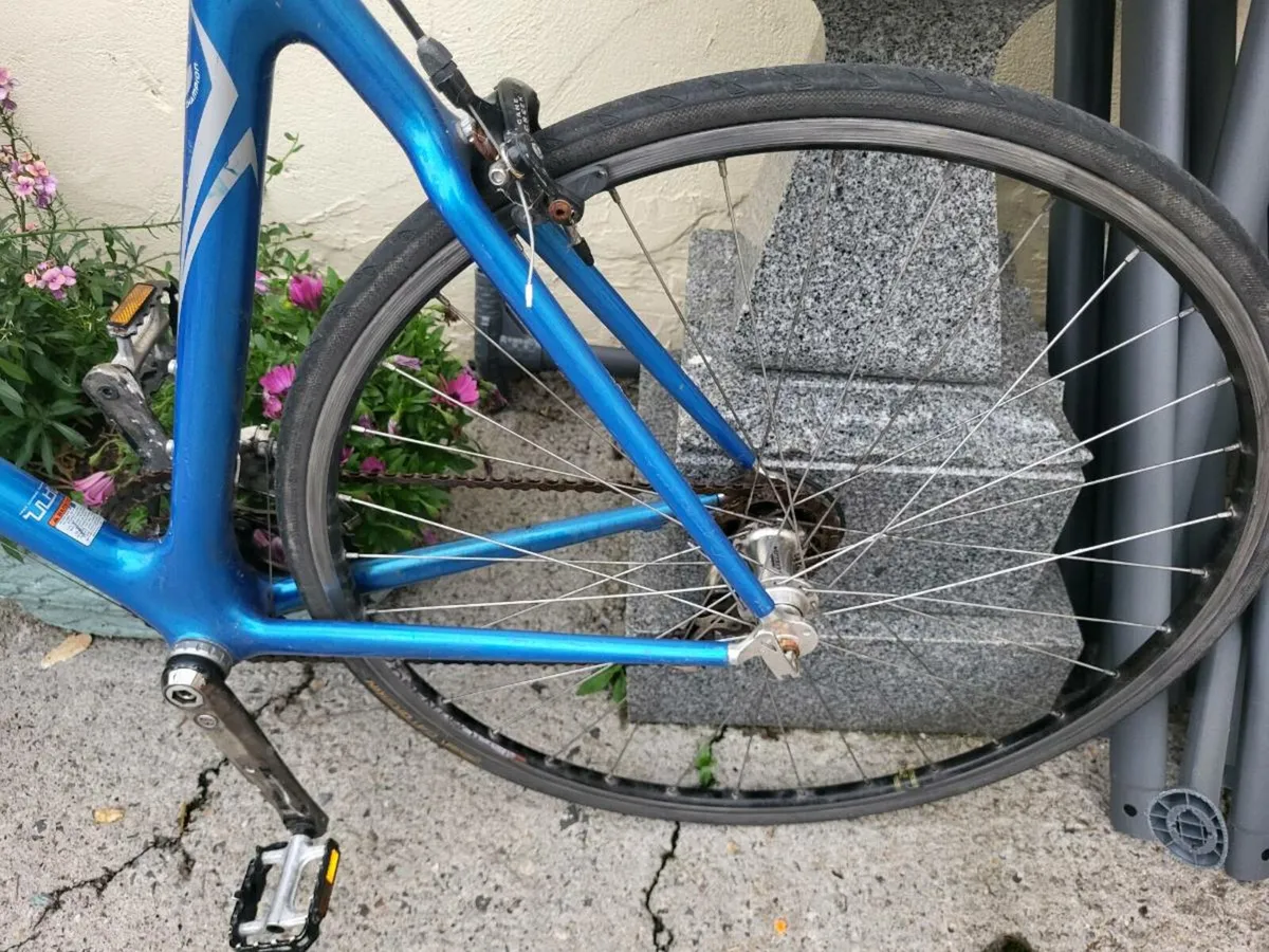 Carbon Fibre Trek Racer - Image 4