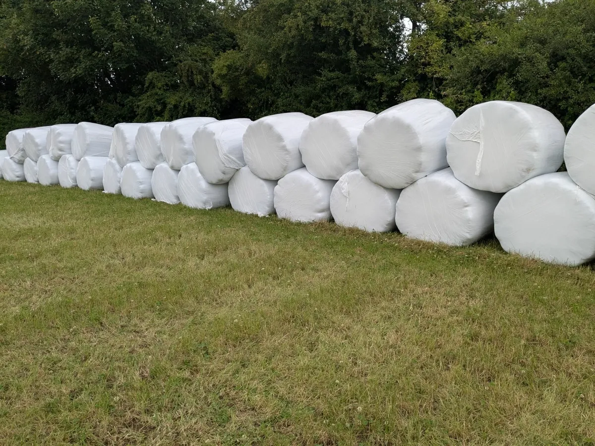 Silage bales - Image 1