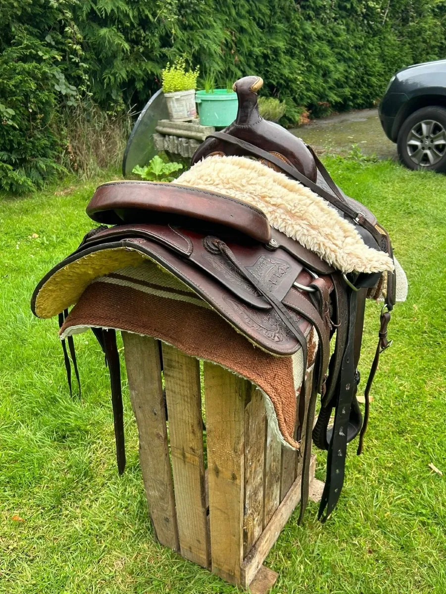 Western Saddle - Image 2