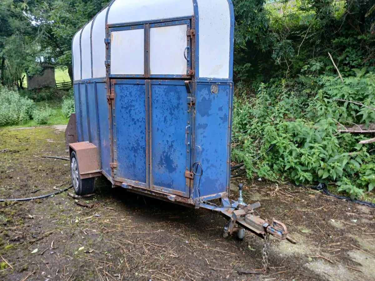 Single axle horse box - Image 1
