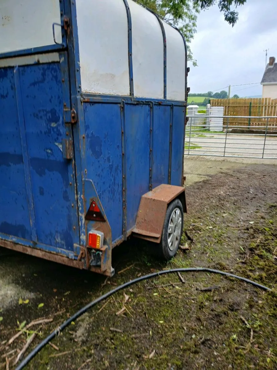Single axle horse box - Image 2