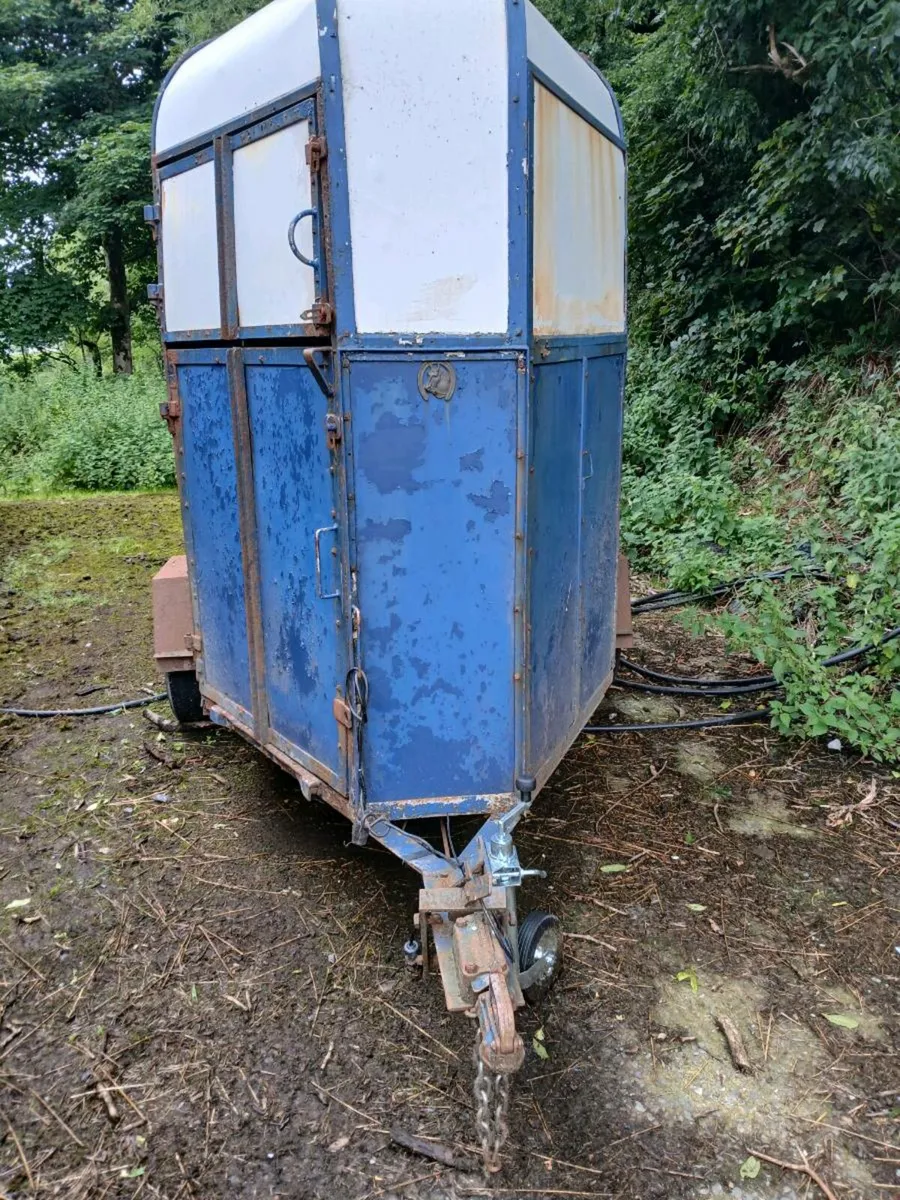 Single axle horse box - Image 3
