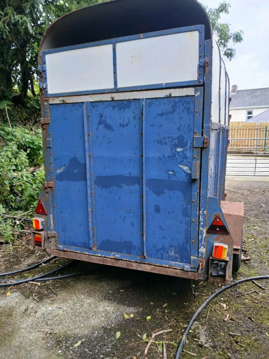 Single axle horse box - Image 4