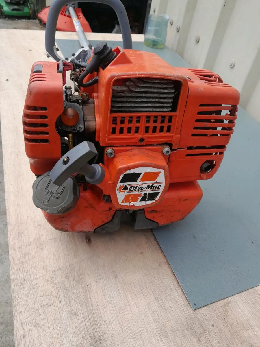 Strimmer - Image 1