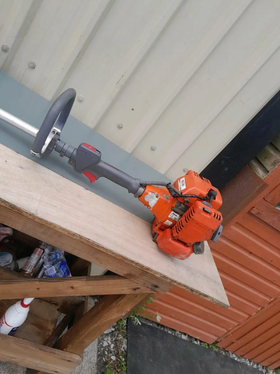 Strimmer - Image 3