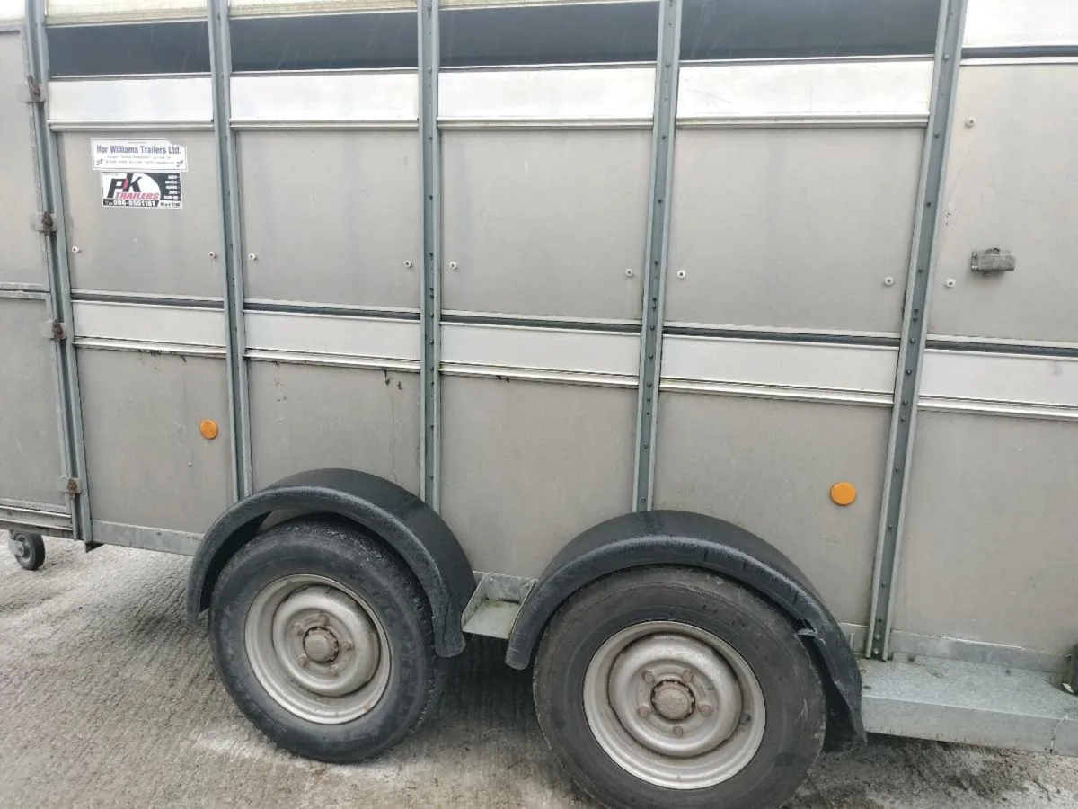 Ifor Williams trailer - Image 2