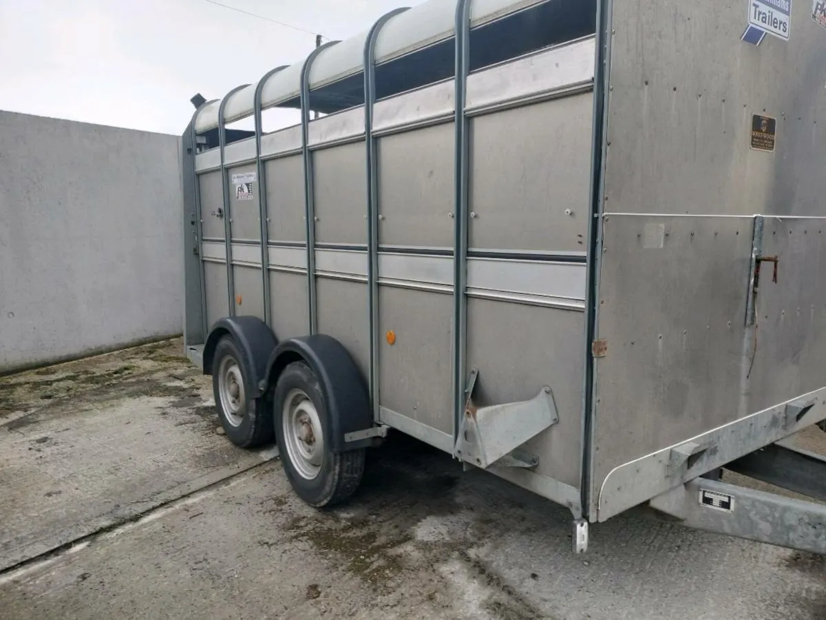 Ifor Williams trailer - Image 1