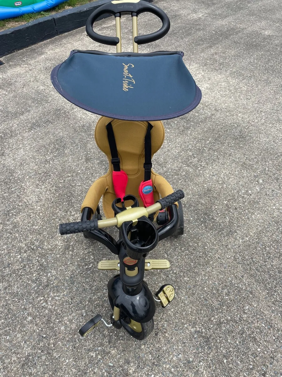 Smart Trike - Image 2