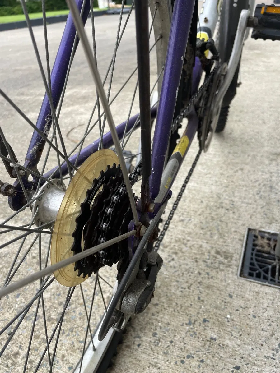 Raleigh Bike - Image 3