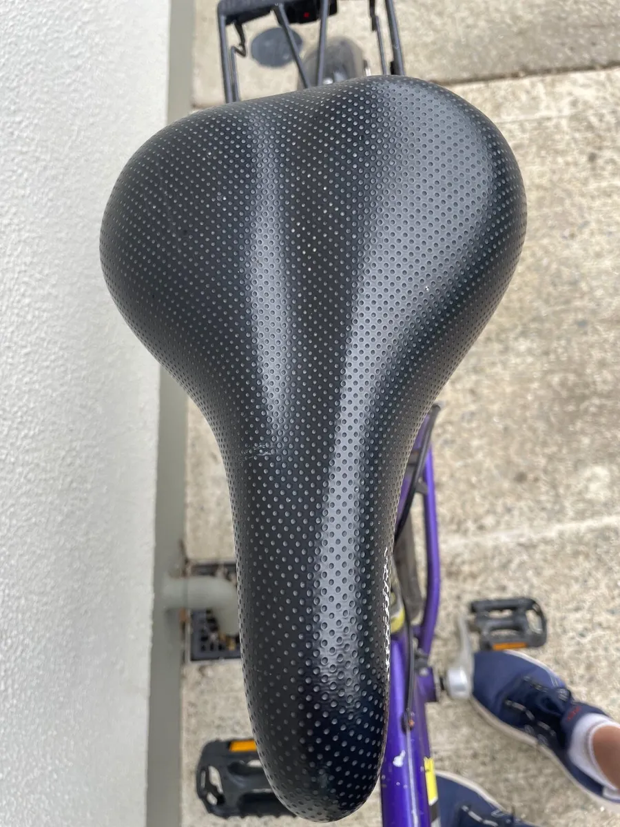 Raleigh Bike - Image 4