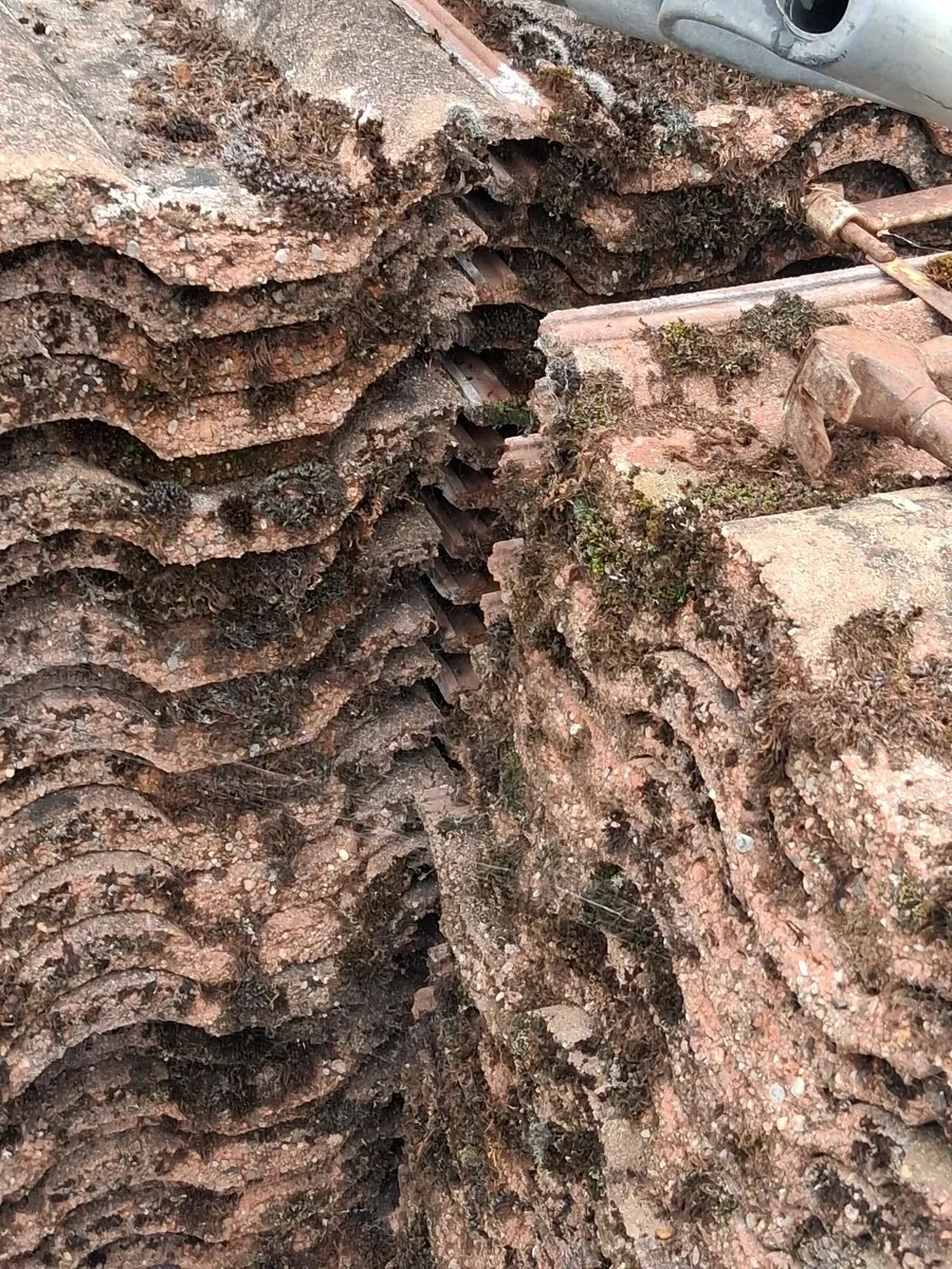 Roof tiles - Image 1
