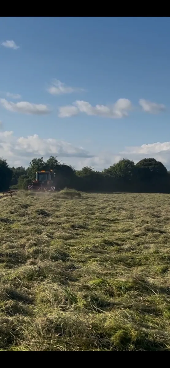 Haylage - Image 3