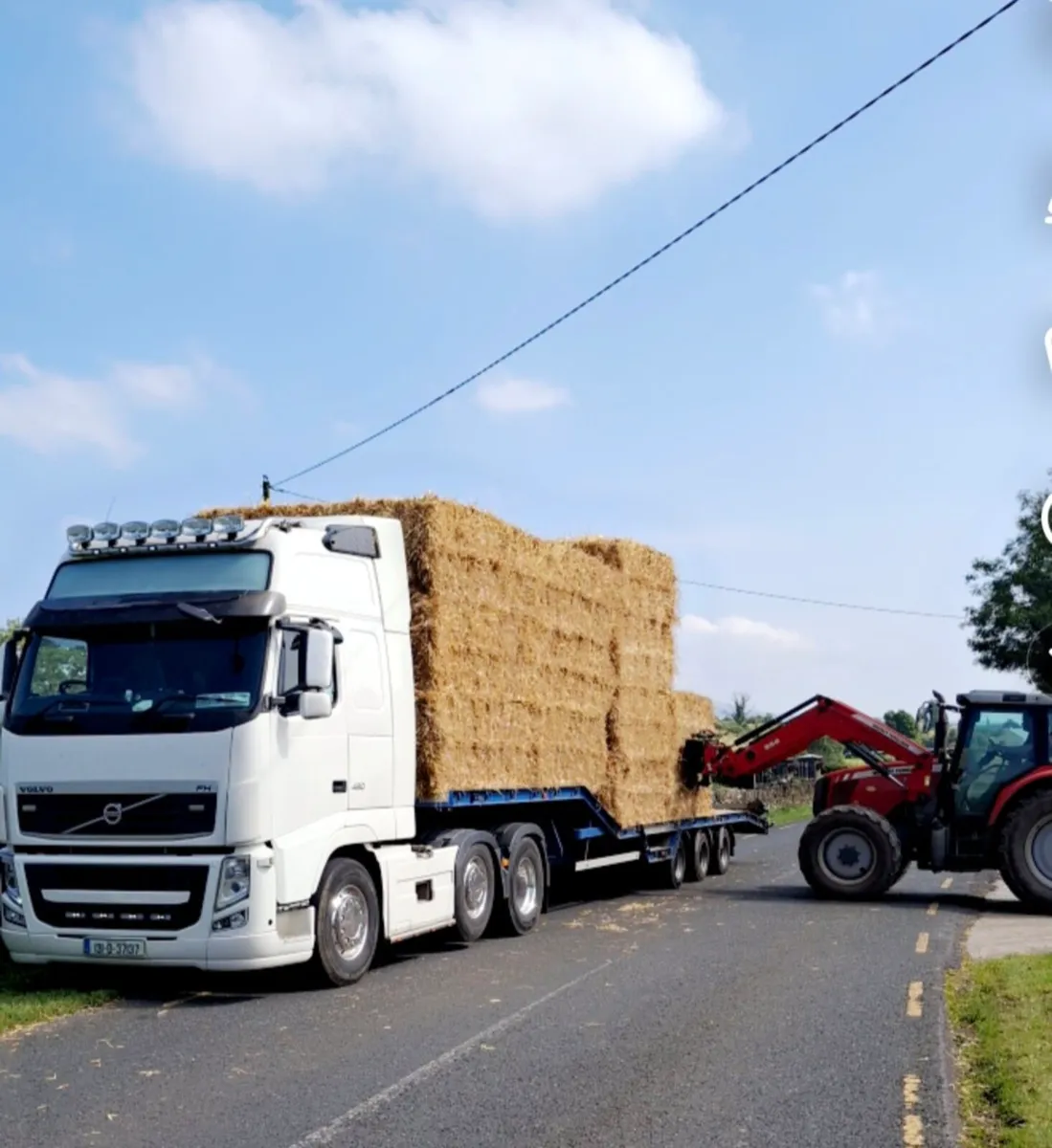 hay and straw