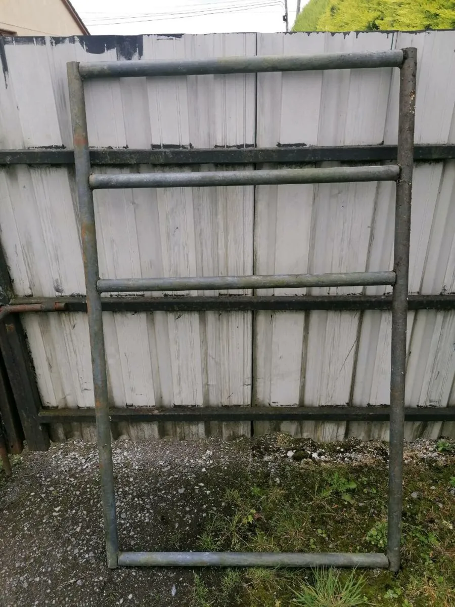 Calf Creep Gate