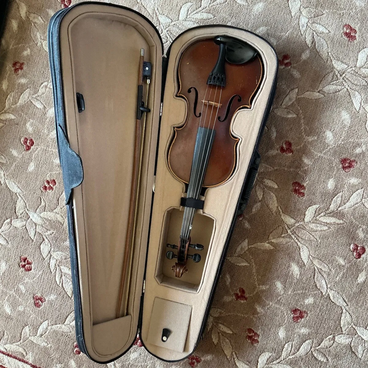 Violin