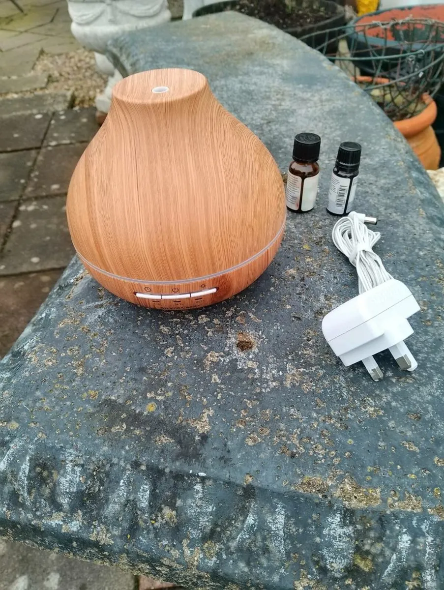 Silver Crest diffuser and about 20 oils - Image 1