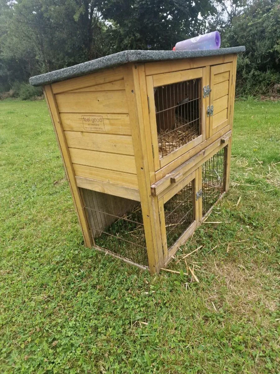 Hutch- Guinea Pig / Rabbit etc. - Image 2