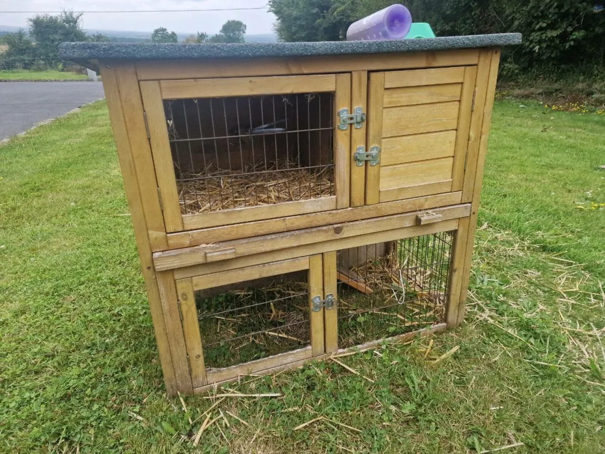 Hutch- Guinea Pig / Rabbit etc. - Image 1