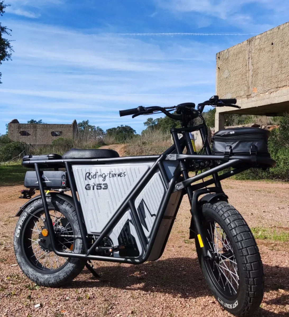 Electric cargo bike - Image 2