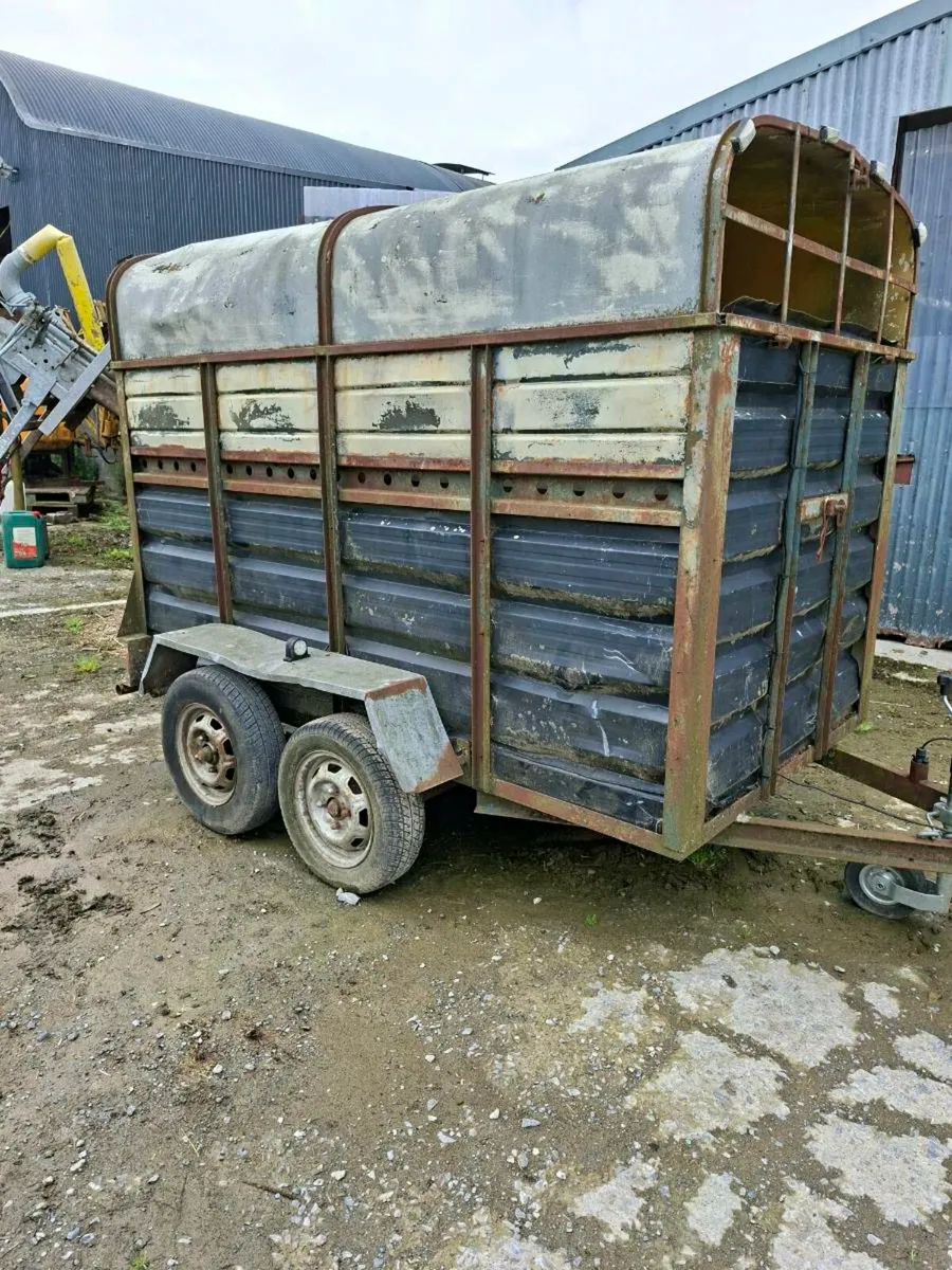 2 based cattle trailer - Image 1