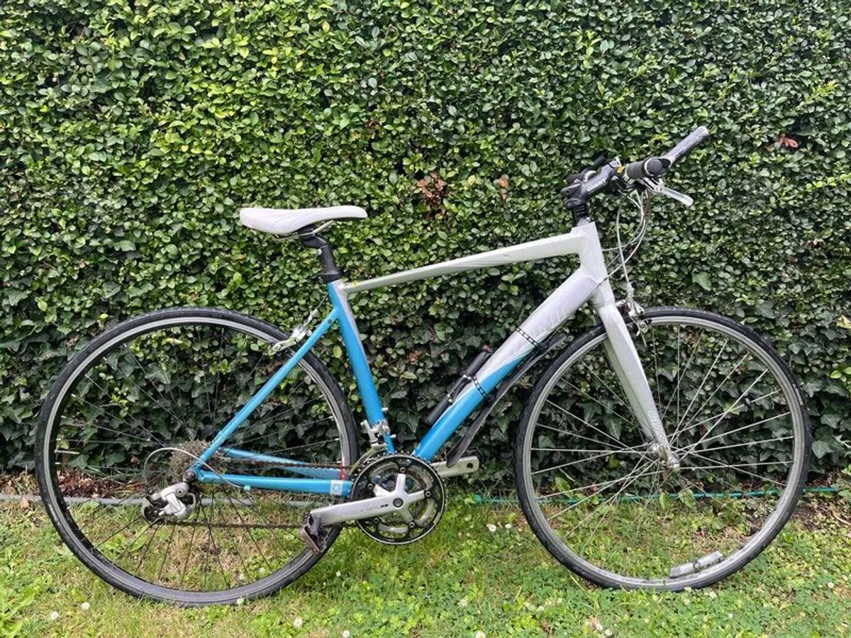 Giant Ladies Bike - Image 1