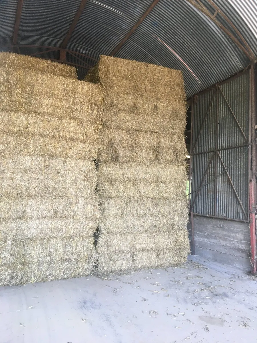 Straw - Image 2