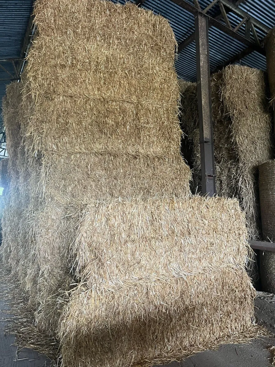 Straw - Image 4