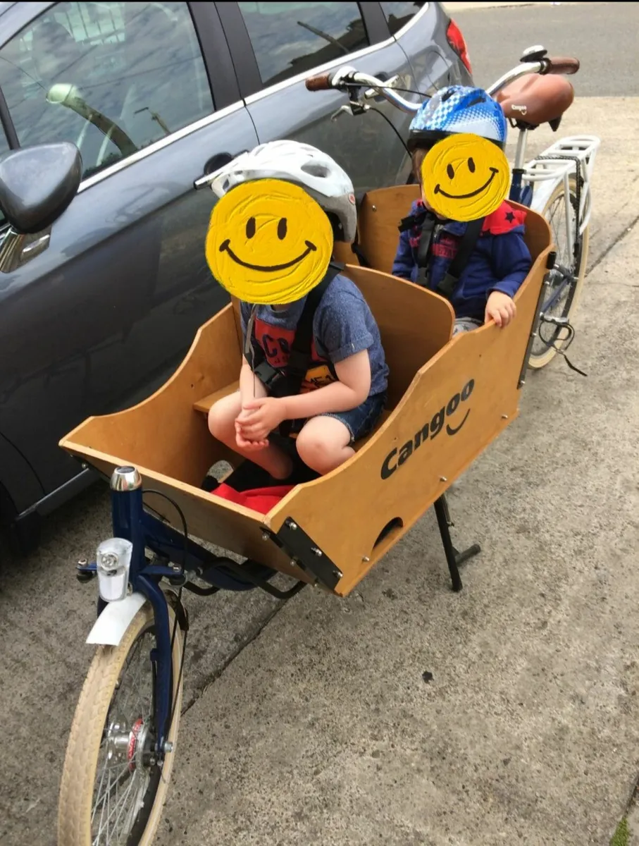 Cargo bike - Image 2