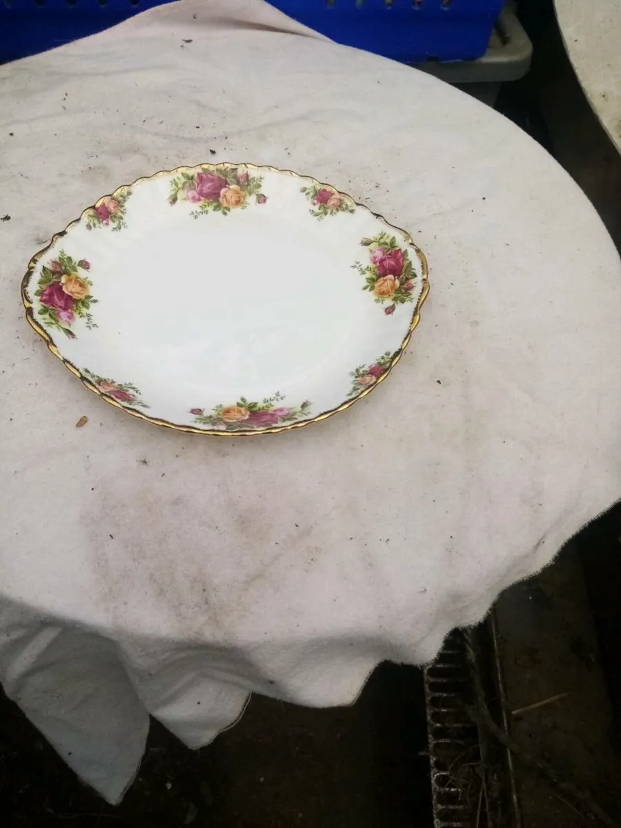 Old country rose - Image 1