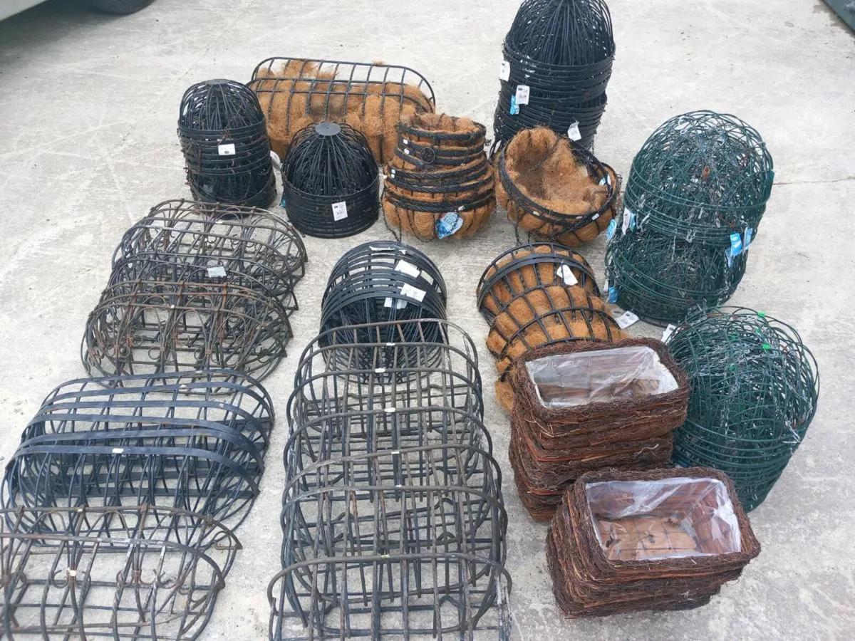 Selection of hanging baskets - Image 1