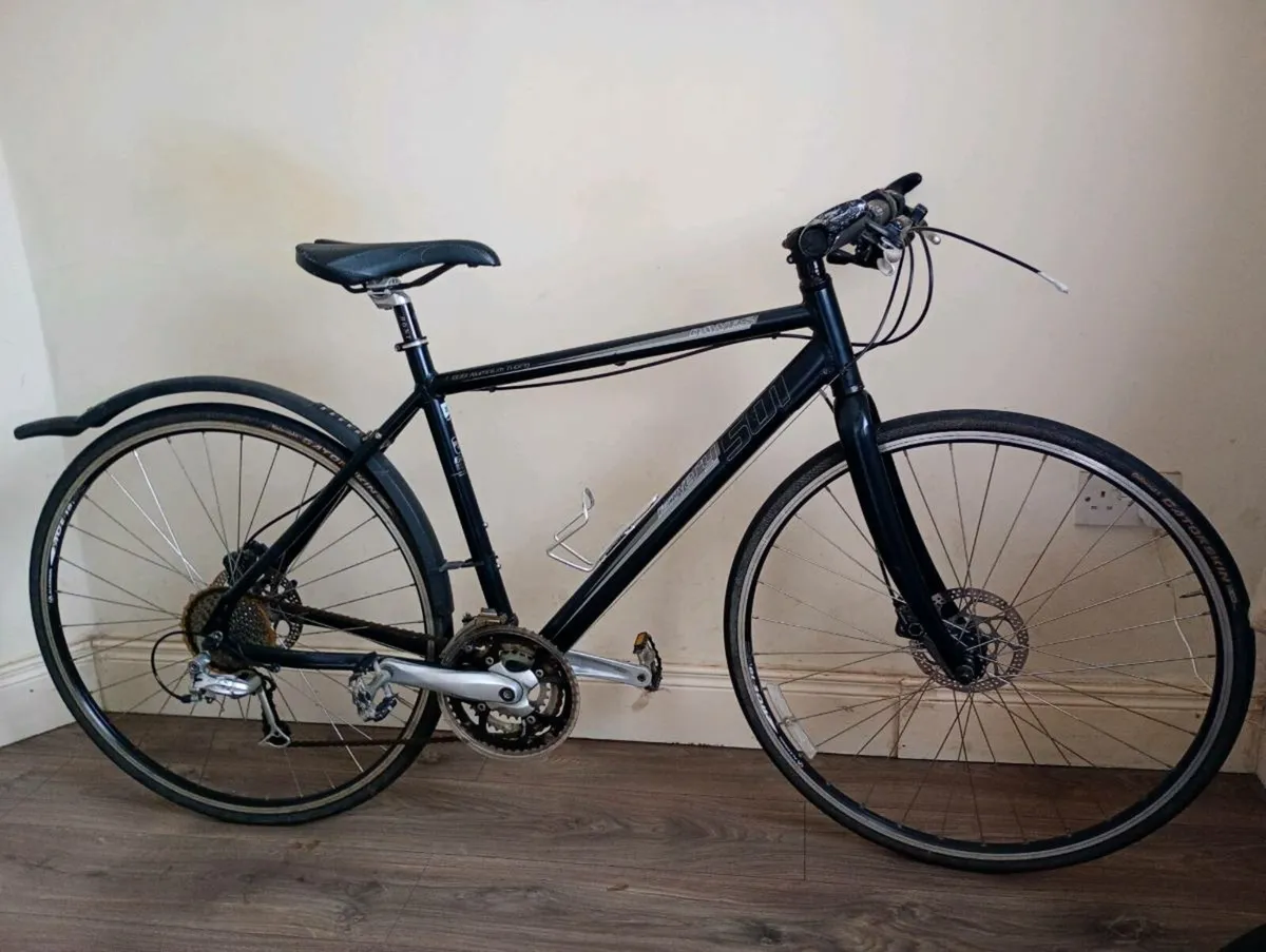 Dalwes discovery 501  bike