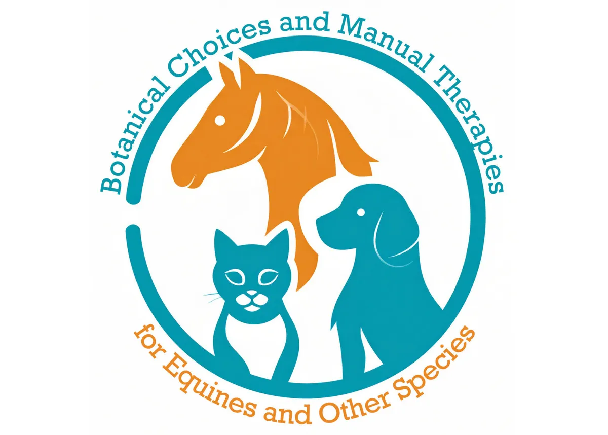 Equine Massage and Zoopharmacognosy