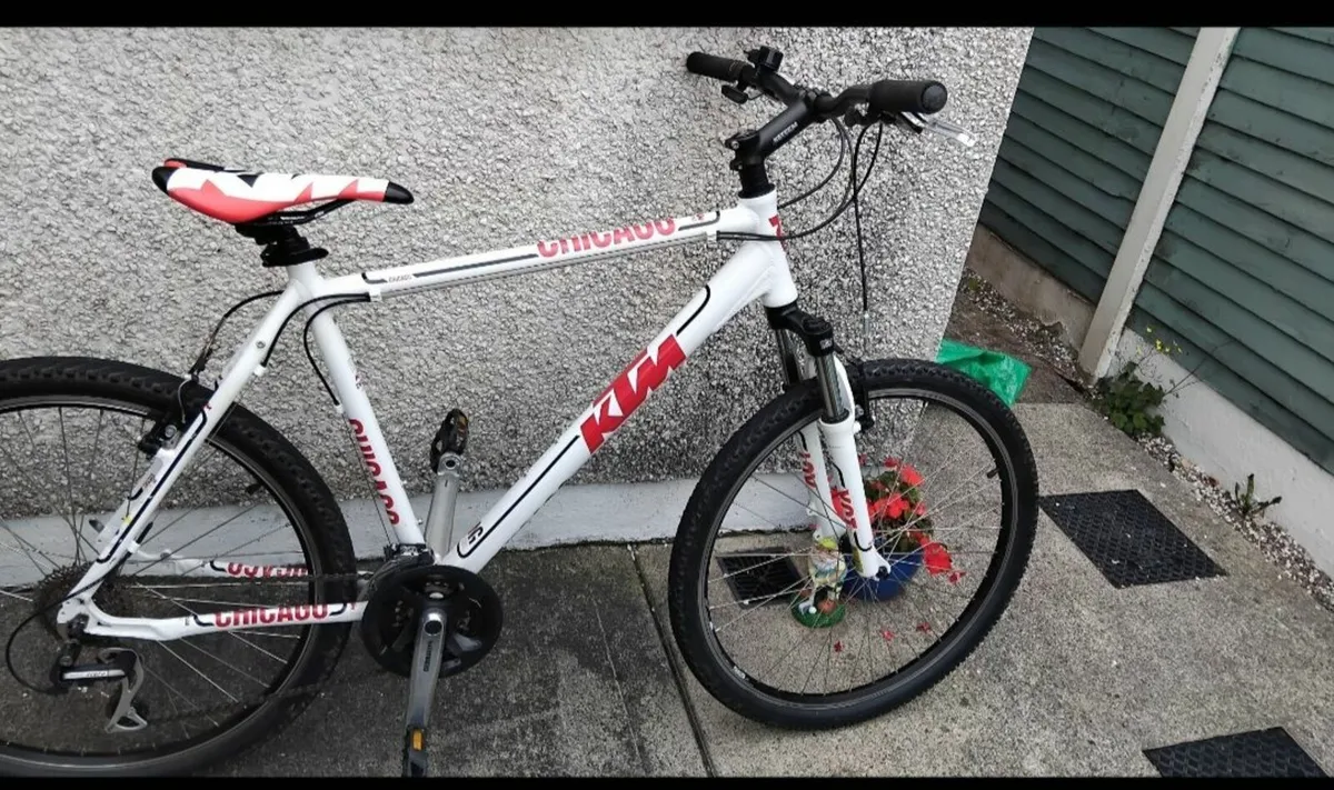 Bicycle - Image 1