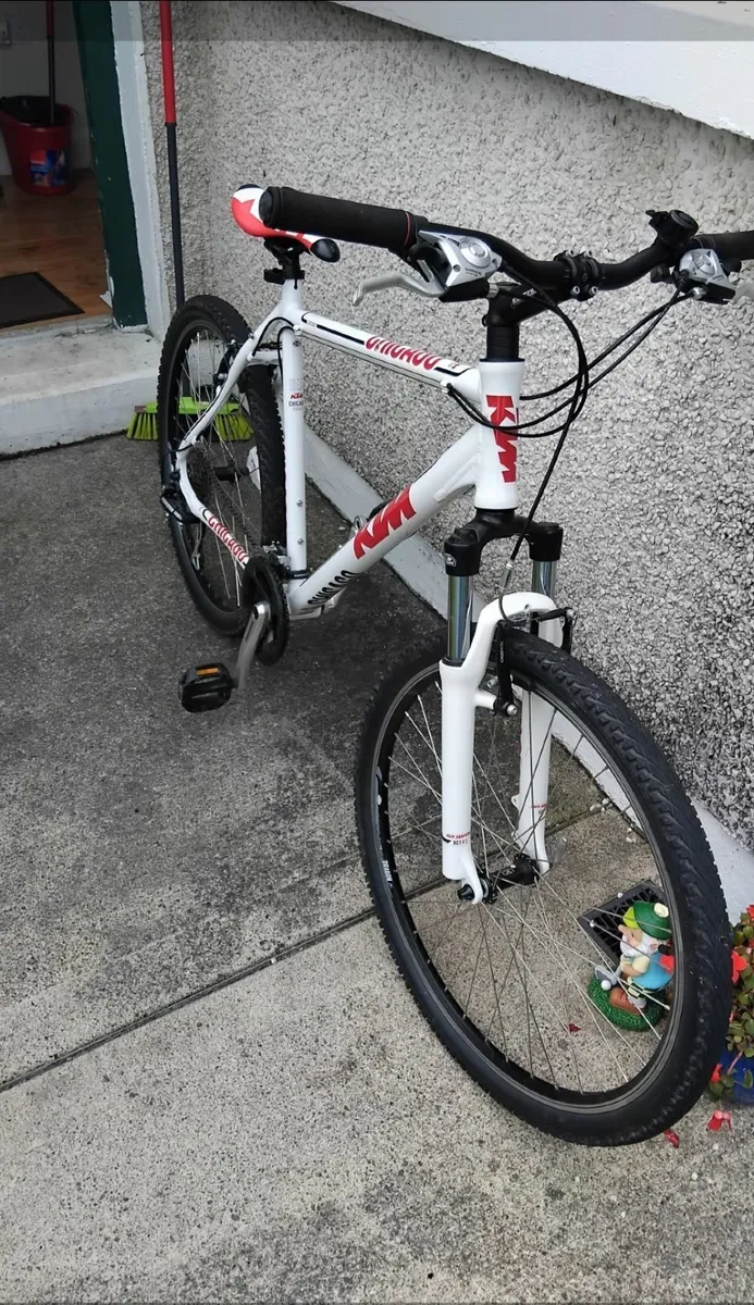 Bicycle - Image 2