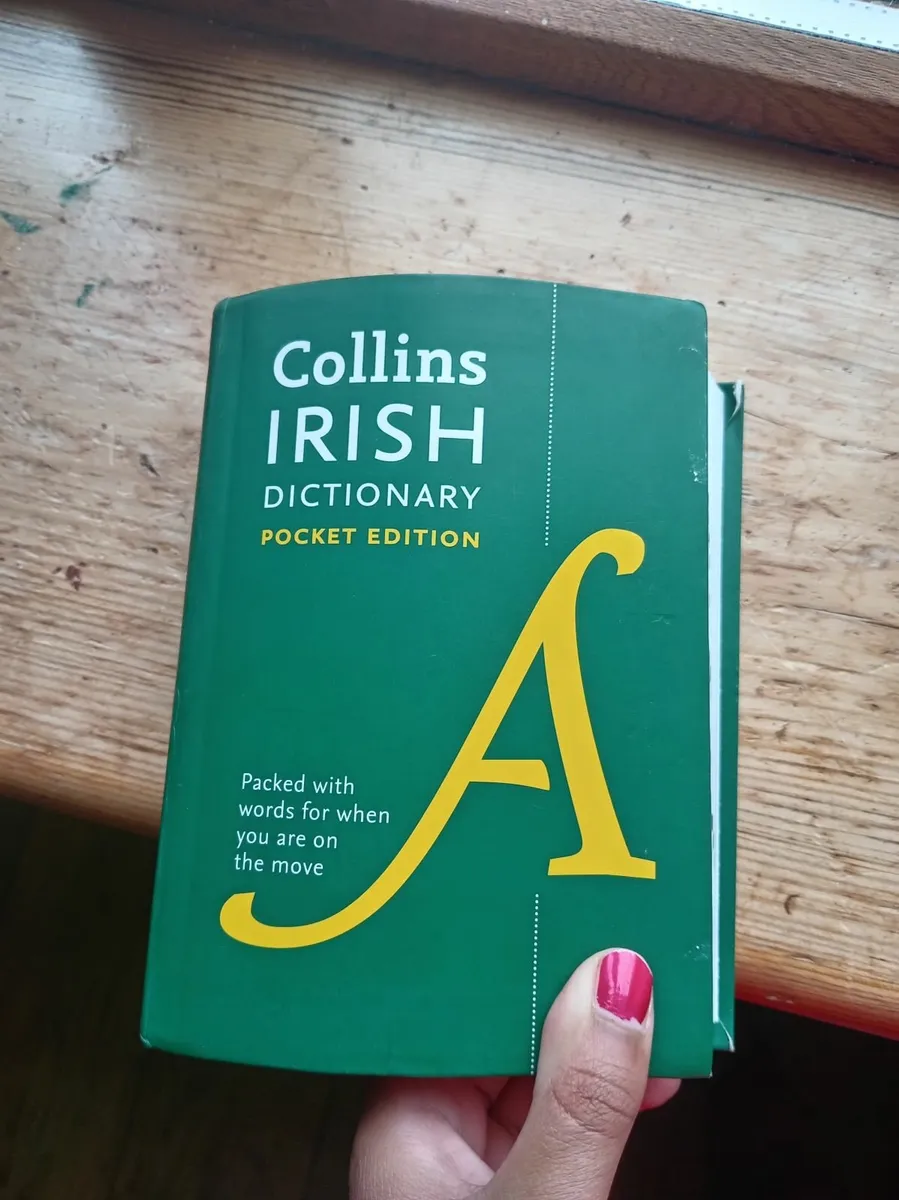 Irish and English Dictionaries - Image 3