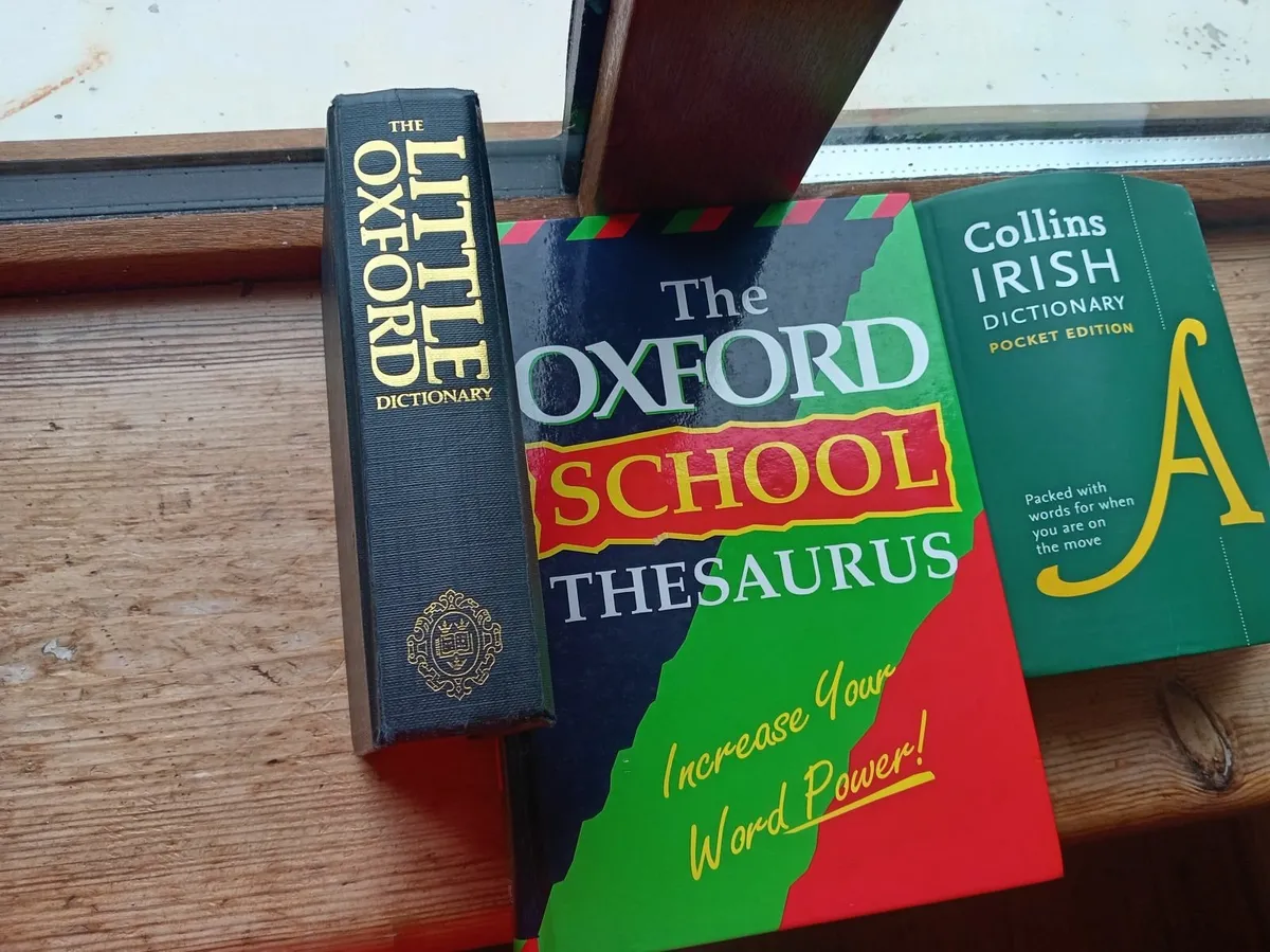 Irish and English Dictionaries - Image 2