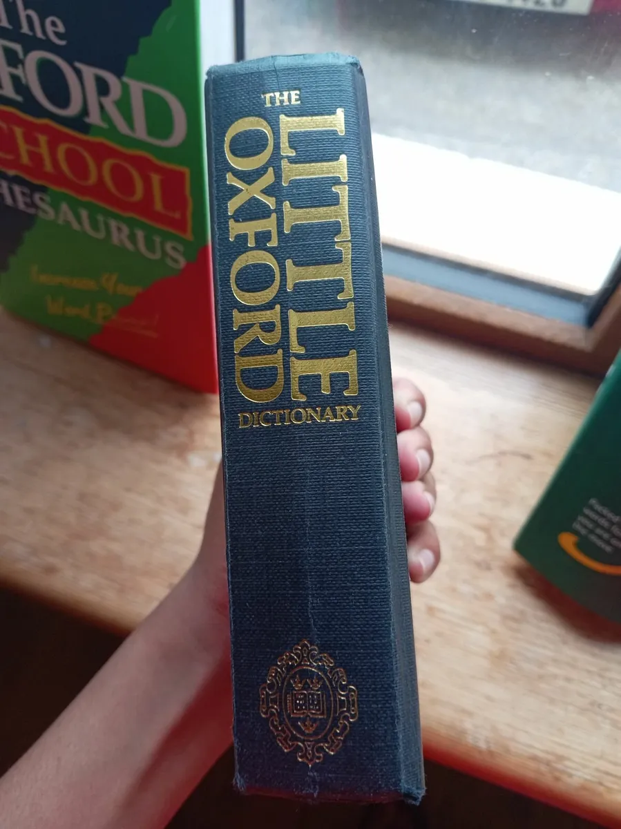 Irish and English Dictionaries - Image 4
