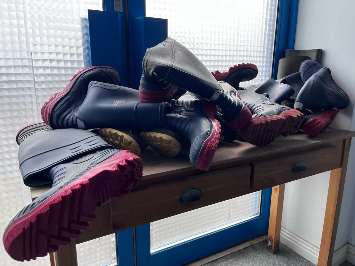 Wellingtons - Image 2