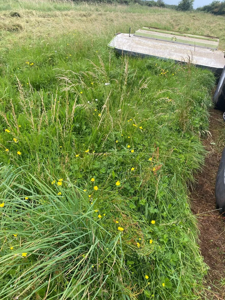 Organic silage - Image 4