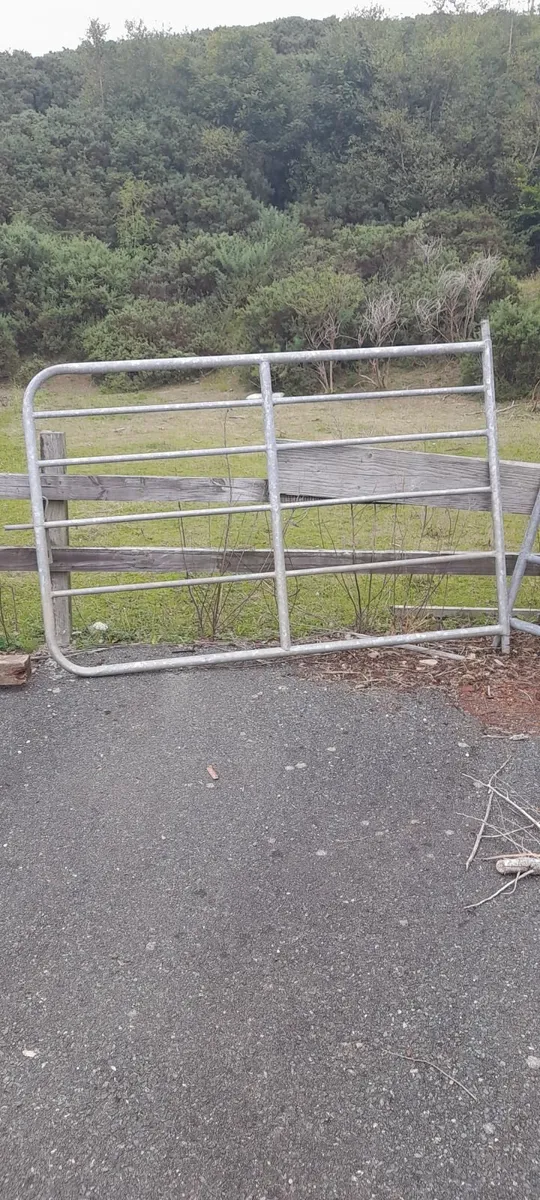 Gates galvanised  and water tanks - Image 2