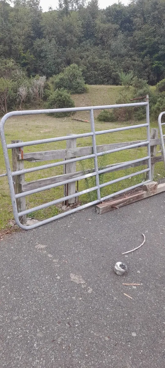 Gates galvanised  and water tanks - Image 3